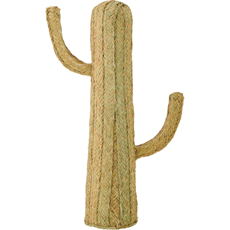 CACTUS HERBE NATUREL MEDIUM (60x22x105cm) 