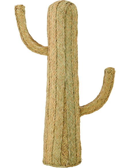 CACTUS HERBE NATUREL MEDIUM (60x22x105cm) 