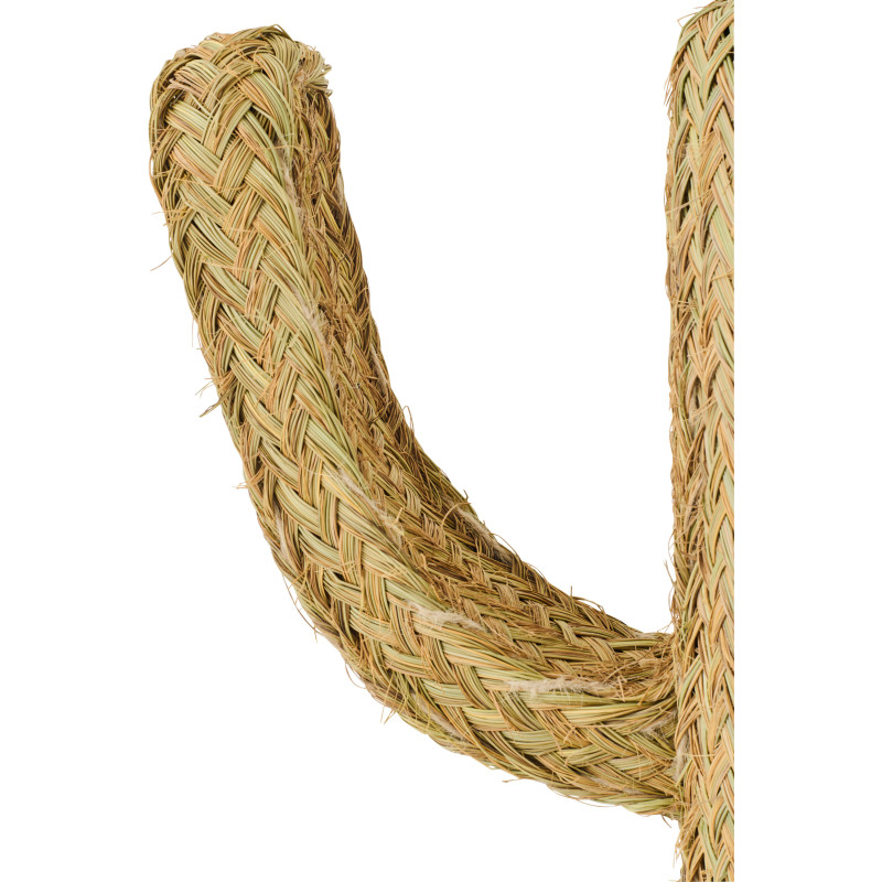 CACTUS HERBE NATUREL MEDIUM (60x22x105cm) 