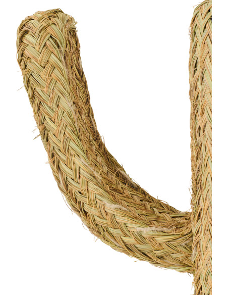 CACTUS HERBE NATUREL MEDIUM (60x22x105cm) 