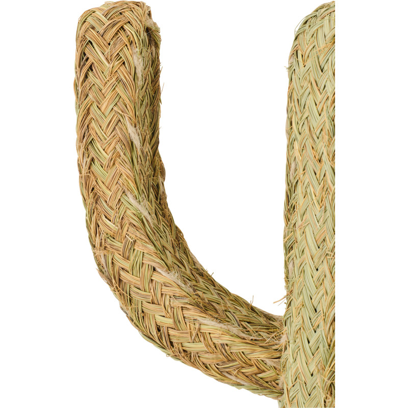 CACTUS HERBE NATUREL LARGE (60x22x145cm) 