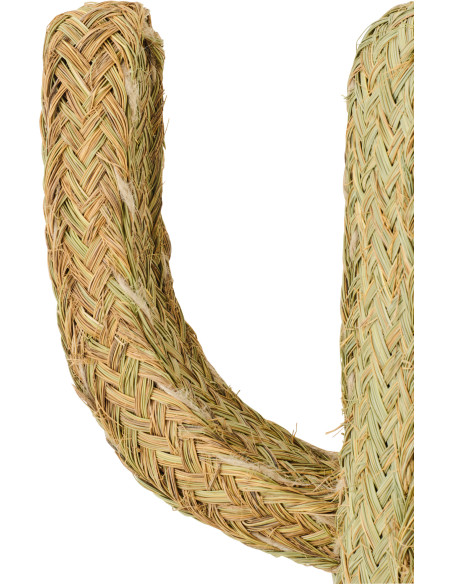 CACTUS HERBE NATUREL LARGE (60x22x145cm) 