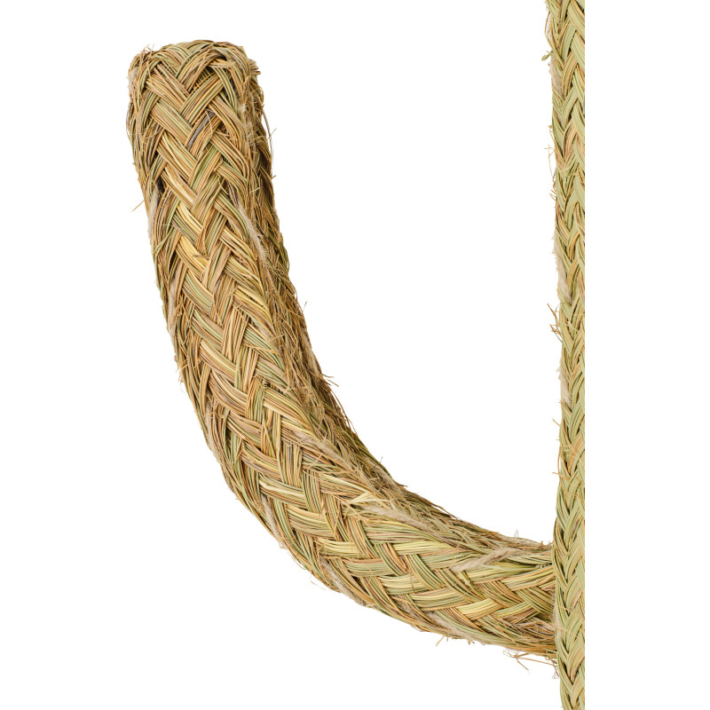 CACTUS HERBE NATUREL XL (60x60x180cm) 