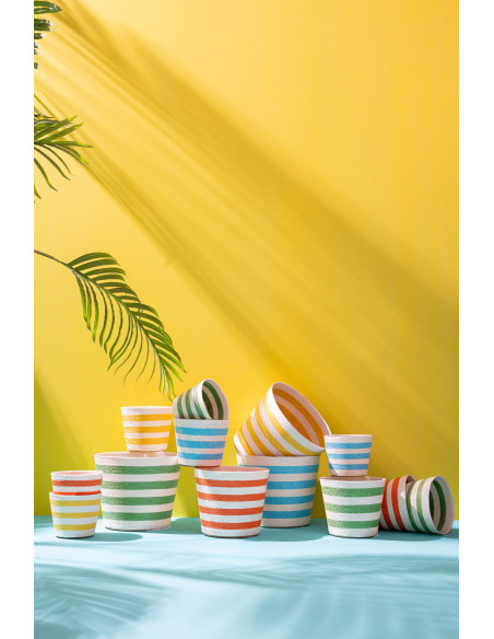 CACHEP LIGN PAP AZ/VRT XS ASS2 (11,5x11,5x9,5cm) 