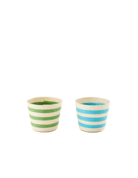 CACHEP LIGN PAP AZ/VRT S ASS2 (13,5x13,5x11cm) 