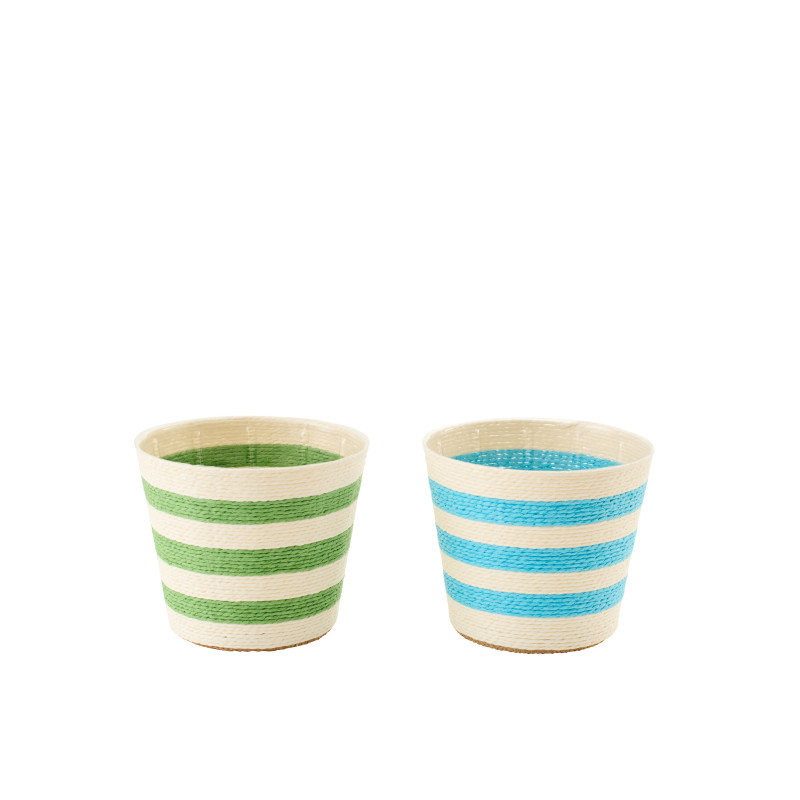 CACHEP LIGN PAP AZ/VRT M ASS2 (15x15x13cm) 