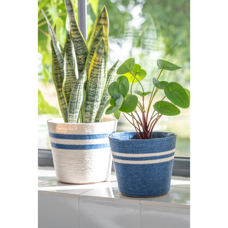 CACHEP LIGN PAP BLA/BL S ASS2 (13,5x13,5x11cm) 