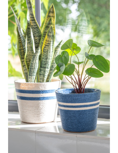 CACHEP LIGN PAP BLA/BL S ASS2 (13,5x13,5x11cm) 