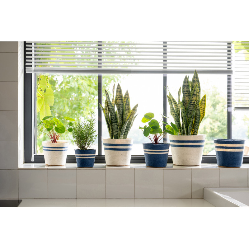 CACHEP LIGN PAP BLA/BL M ASS2 (15x15x13cm) 