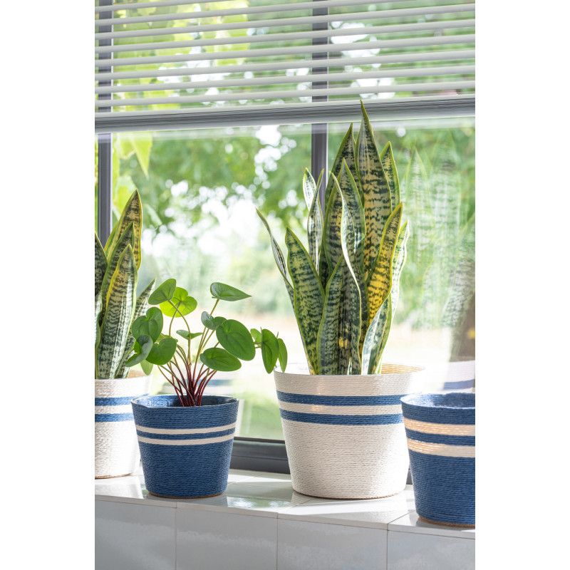 CACHEP LIGN PAP BLA/BL L ASS2 (17,5x17,5x15cm) 