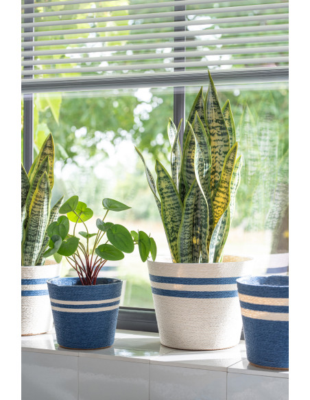 CACHEP LIGN PAP BLA/BL L ASS2 (17,5x17,5x15cm) 