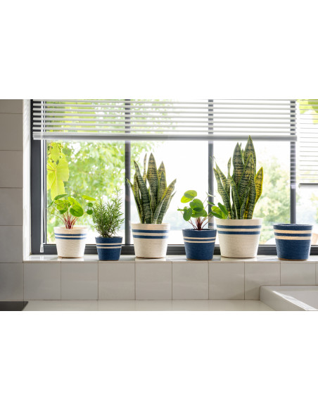 CACHEP LIGN PAP BLA/BL XL ASS2 (21,5x21,5x17cm) 