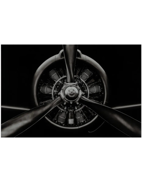 Grand Tableau mural impression sur verre Hélice 120x80 en Verre trempé Noir Blanc Sarai