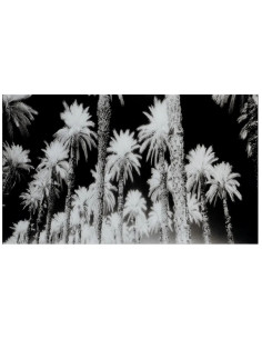 Grand tableau original sur verre Palmiers 120x70 en Verre...