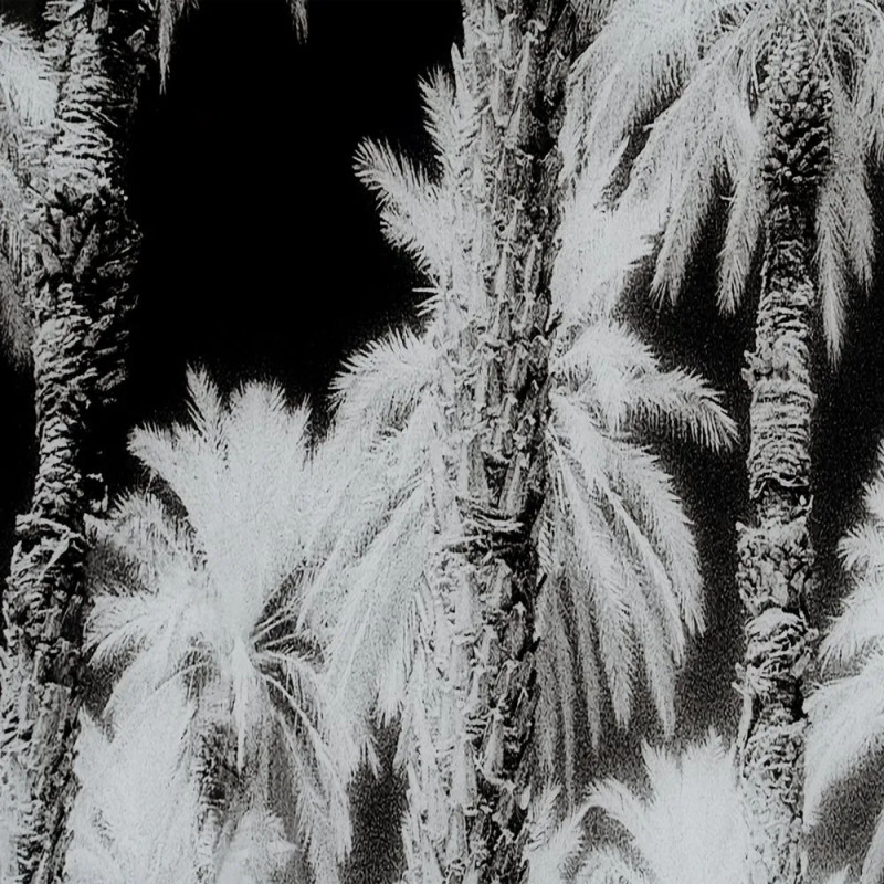 Grand tableau original sur verre...