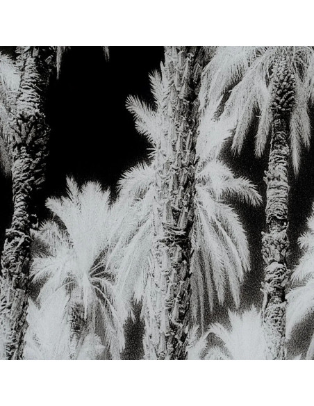 Grand tableau original sur verre Palmiers 120x70 en Verre trempé Sari