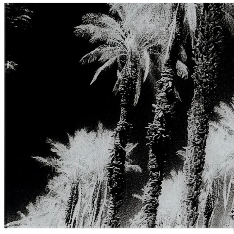 Grand tableau original sur verre...