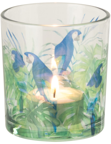 Photophore original Perroquet Verre Bleu Vert Tropica 