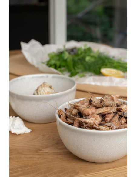 Bol Japandi minimaliste Rond 11 cm Grès Gris clair Luna 