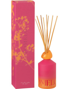 Diffuseur de parfum à bâtonnets Mélange frais Summer In The Rain 450 ml Verre Bleu Vert Oasis 