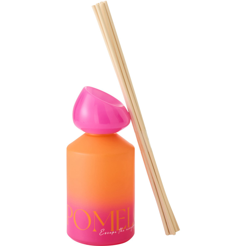 Diffuseur de parfum à bâtonnets Mélange frais Summer In The Rain 180 ml Verre Bleu Vert Oasis 