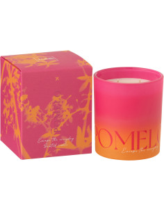 Bougie parfumée Mélange frais Summer In The Rain 40 H Verre Bleu Vert Oasis 