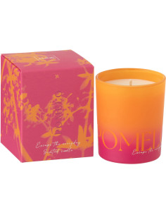 Bougie parfumée Mélange frais Summer In The Rain 20 H Verre Bleu Vert Oasis 