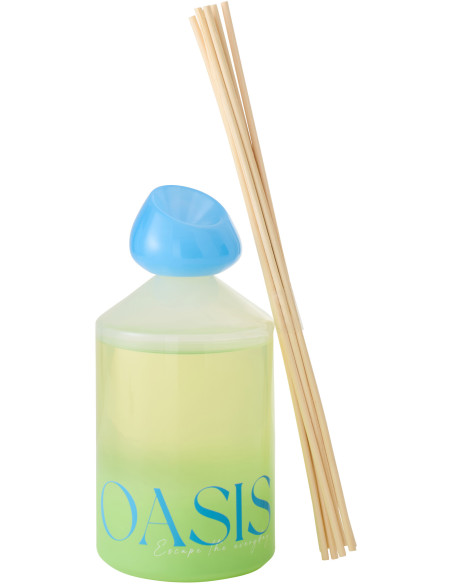 Diffuseur de parfum à bâtonnets Mélange boisé Spring Ivy & Néroli 450 ml Verre Bleu Vert Oasis 