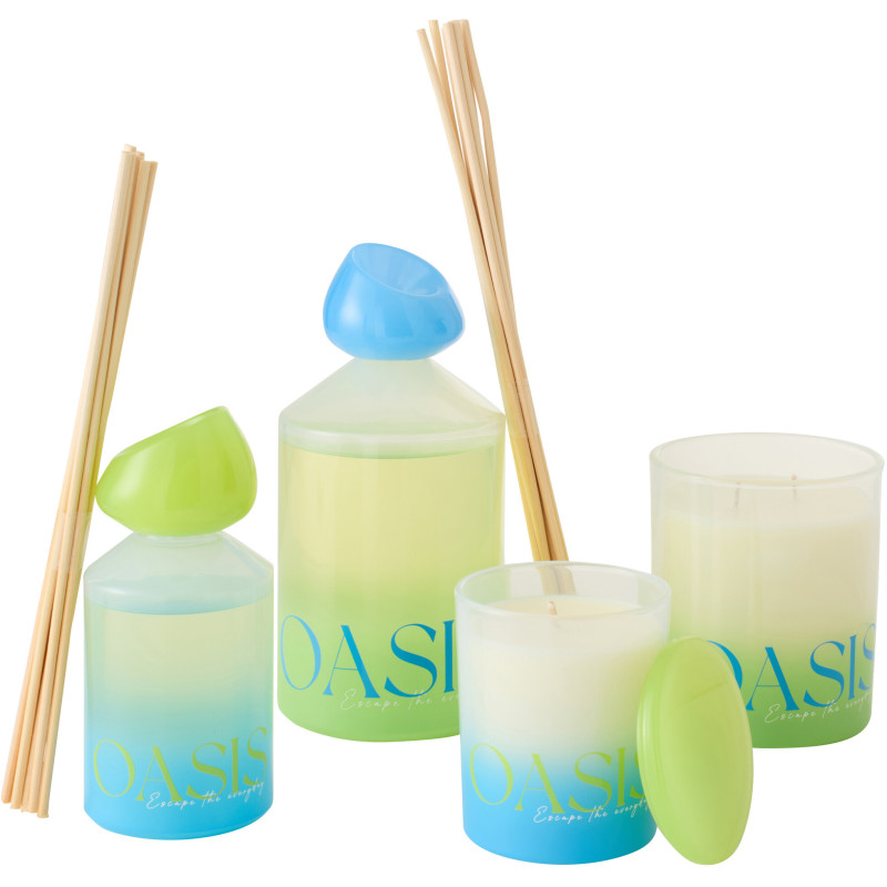 Diffuseur de parfum à bâtonnets Mélange boisé Spring Ivy & Néroli 450 ml Verre Bleu Vert Oasis 