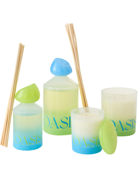Diffuseur de parfum à bâtonnets Mélange boisé Spring Ivy & Néroli 450 ml Verre Bleu Vert Oasis 