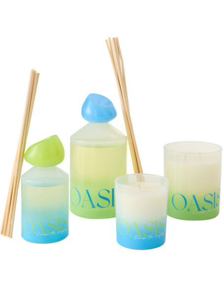 Diffuseur de parfum à bâtonnets Mélange boisé Spring Ivy & Néroli 450 ml Verre Bleu Vert Oasis 