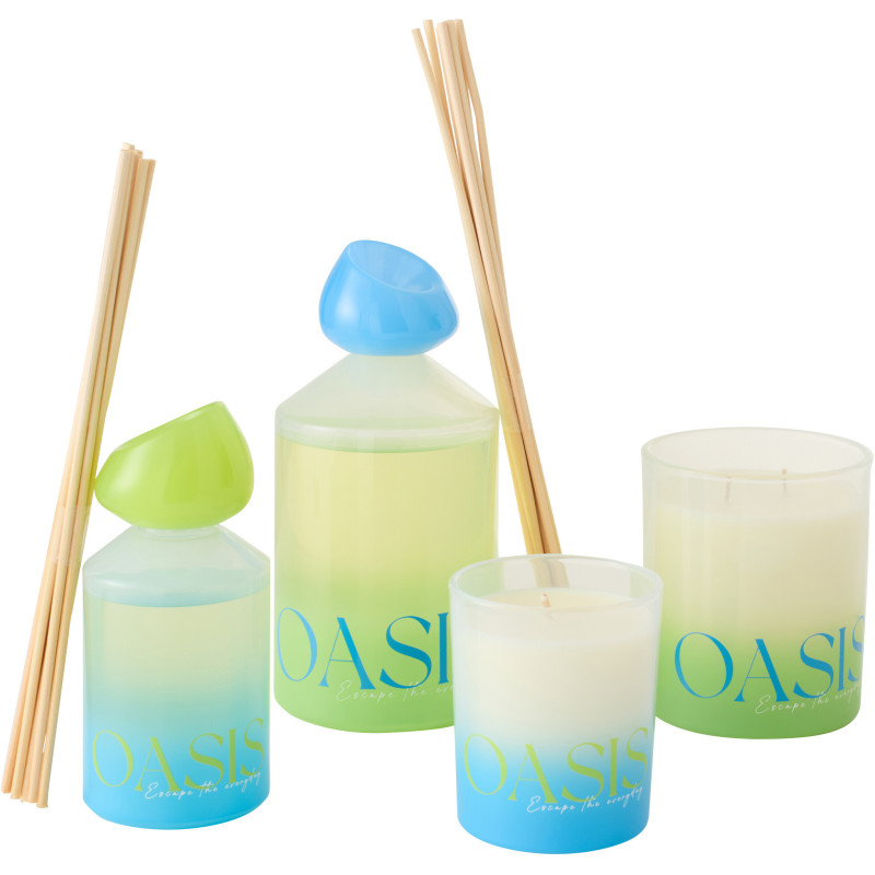 Diffuseur de parfum à bâtonnets Mélange boisé Spring Ivy & Néroli 450 ml Verre Bleu Vert Oasis 