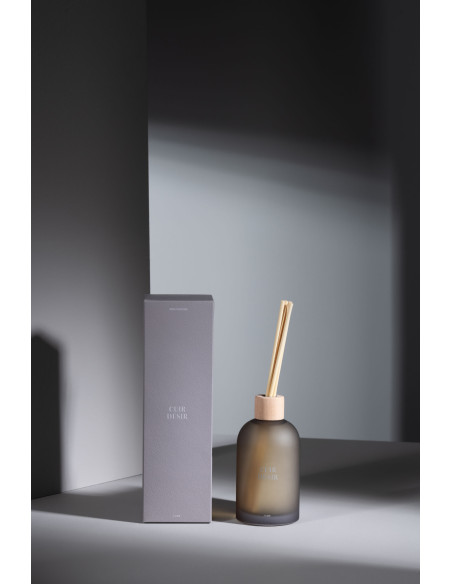 Diffuseur de parfum à bâtonnets Mélange boisé Cuir Désir 250 ml Verre Beige Accord Essentiels 