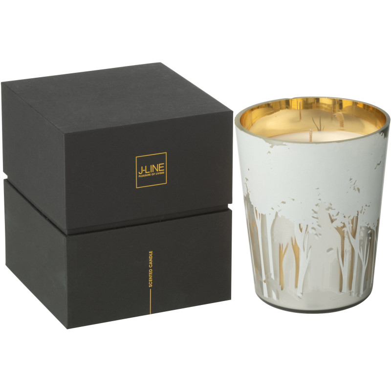 Bougie parfumée longue durée Ayra 68 H Verre Blanc Doré Motif forêt Soja Noa 