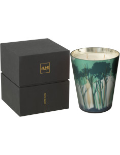 Grande Bougie parfumée extra longue durée All Of Me 95 H Verre Vert Doré Motif forêt Soja Noa 