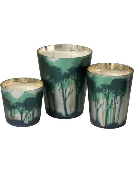 Grande Bougie parfumée extra longue durée All Of Me 95 H Verre Vert Doré Motif forêt Soja Noa 