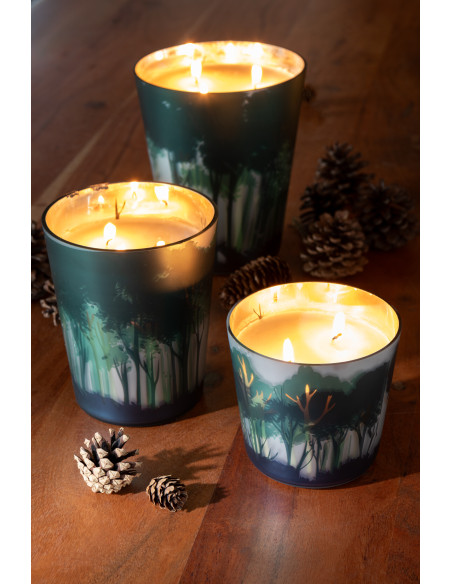 Bougie parfumée longue durée All Of Me 68 H Verre Vert Doré Motif forêt Soja Noa 