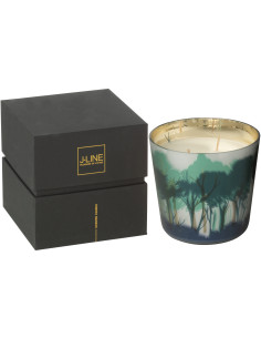 Bougie parfumée longue durée All Of Me 50 H Verre Vert Doré Motif forêt Soja Noa 