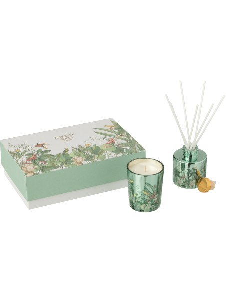 Coffret cadeau Bougie parfumé & Diffuseur à bâtonnets Mélange aromatique Evergreen & Silver Birch 15 H 50 ml Verre Vert Motif fl