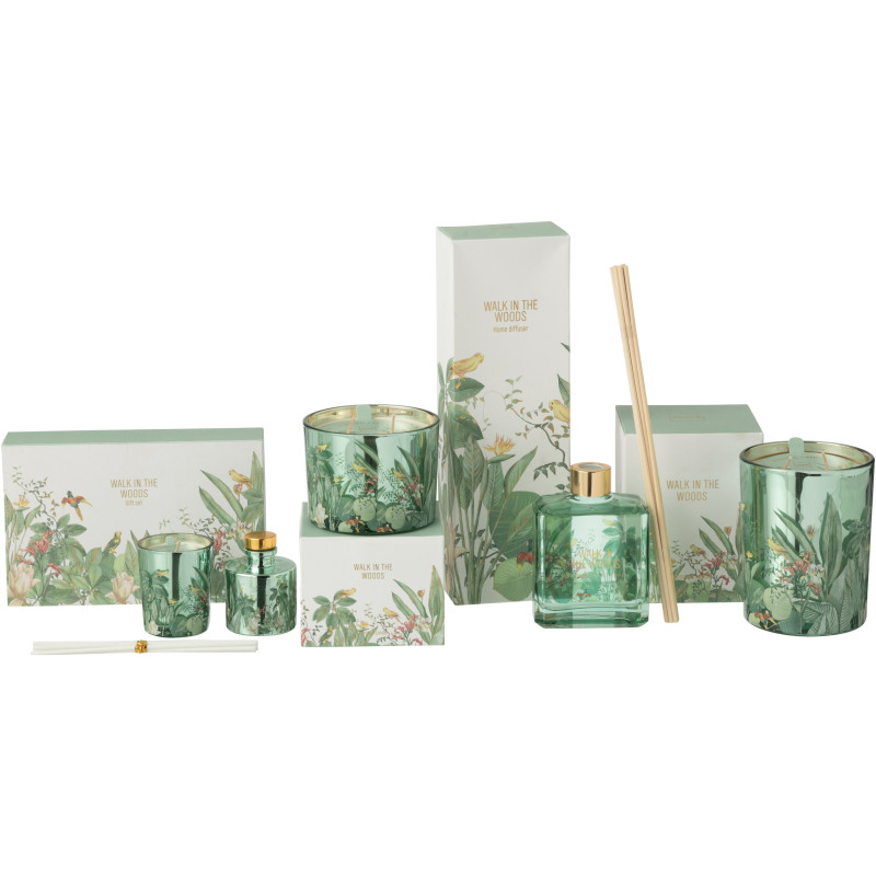 Coffret cadeau Bougie parfumé & Diffuseur à bâtonnets Mélange aromatique Evergreen & Silver Birch 15 H 50 ml Verre Vert Motif fl