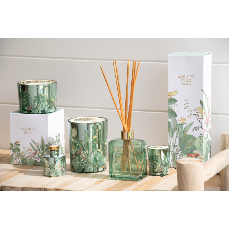 Diffuseur de parfum à bâtonnets Mélange aromatique Evergreen & Silver Birch 180 ml Verre Vert Motif fleurs Walk In The Woods 