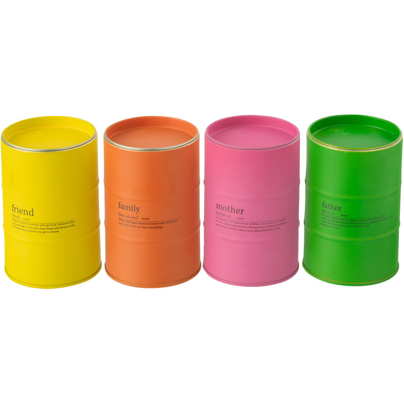 Lot de 4 Grandes Bougies Famille longue durée Mélange floral Mimosa & Rose 50 H Métal Jaune Orange Rose Vert Familiana 
