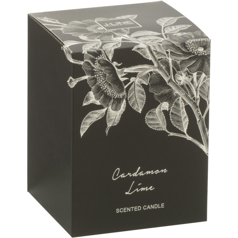 Bougie parfumée longue durée Mélange agrumes Cardamom Lime 9 cm 50 H Verre Transparent Cire Botanéa 