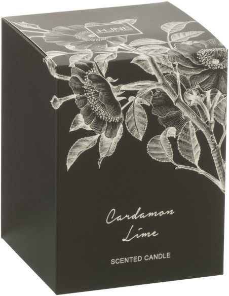 Bougie parfumée longue durée Mélange agrumes Cardamom Lime 9 cm 50 H Verre Transparent Cire Botanéa 