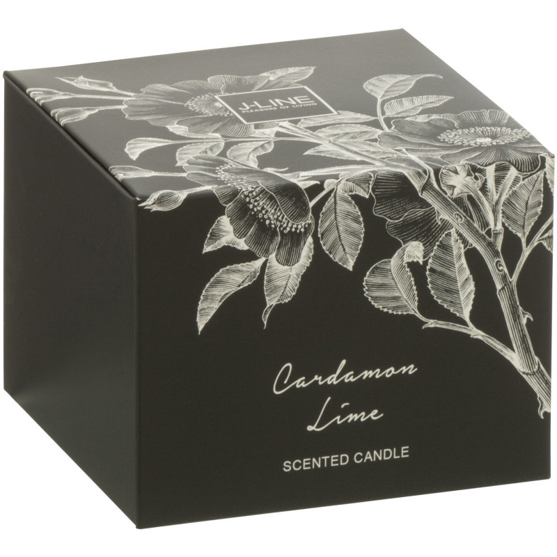 Bougie parfumée longue durée Mélange agrumes Cardamom Lime 10 cm 50 H Verre Transparent Cire Botanéa 