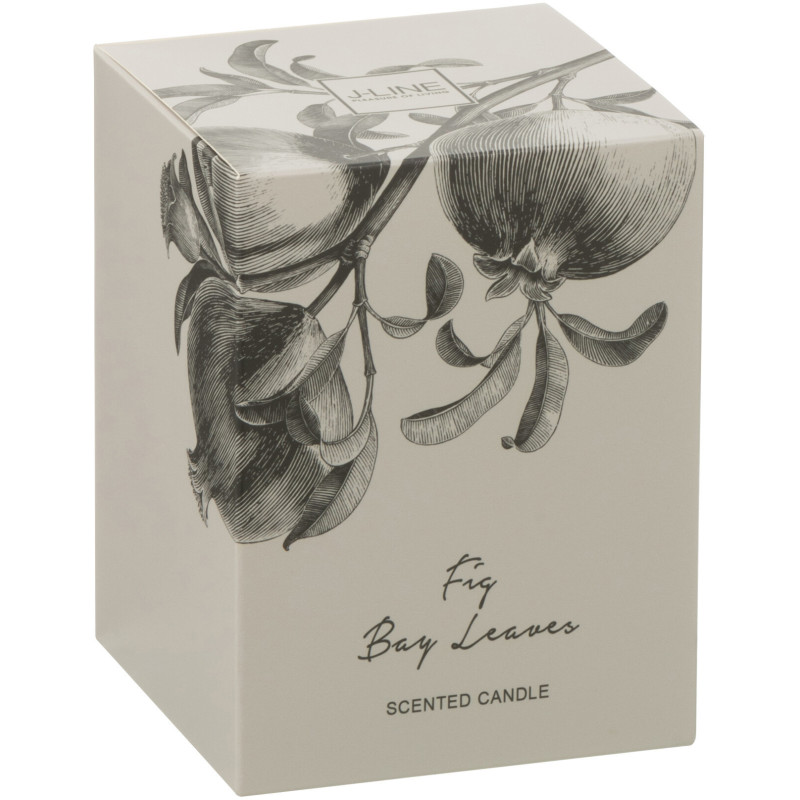 Bougie parfumée longue durée Mélange vert Fig Bay Leaves 9 cm 50 H Verre Transparent Cire Botanéa 