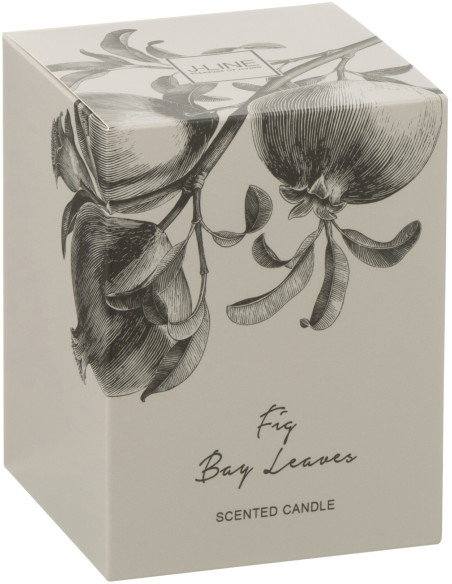 Bougie parfumée longue durée Mélange vert Fig Bay Leaves 9 cm 50 H Verre Transparent Cire Botanéa 