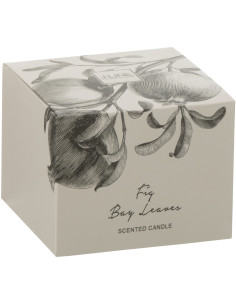 Bougie parfumée longue durée Mélange vert Fig Bay Leaves 10 cm 50 H Verre Transparent Cire Botanéa 