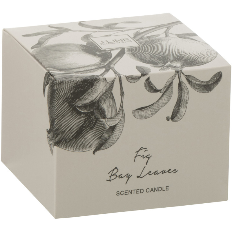 Bougie parfumée longue durée Mélange vert Fig Bay Leaves 10 cm 50 H Verre Transparent Cire Botanéa 
