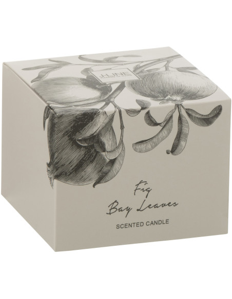 Bougie parfumée longue durée Mélange vert Fig Bay Leaves 10 cm 50 H Verre Transparent Cire Botanéa 